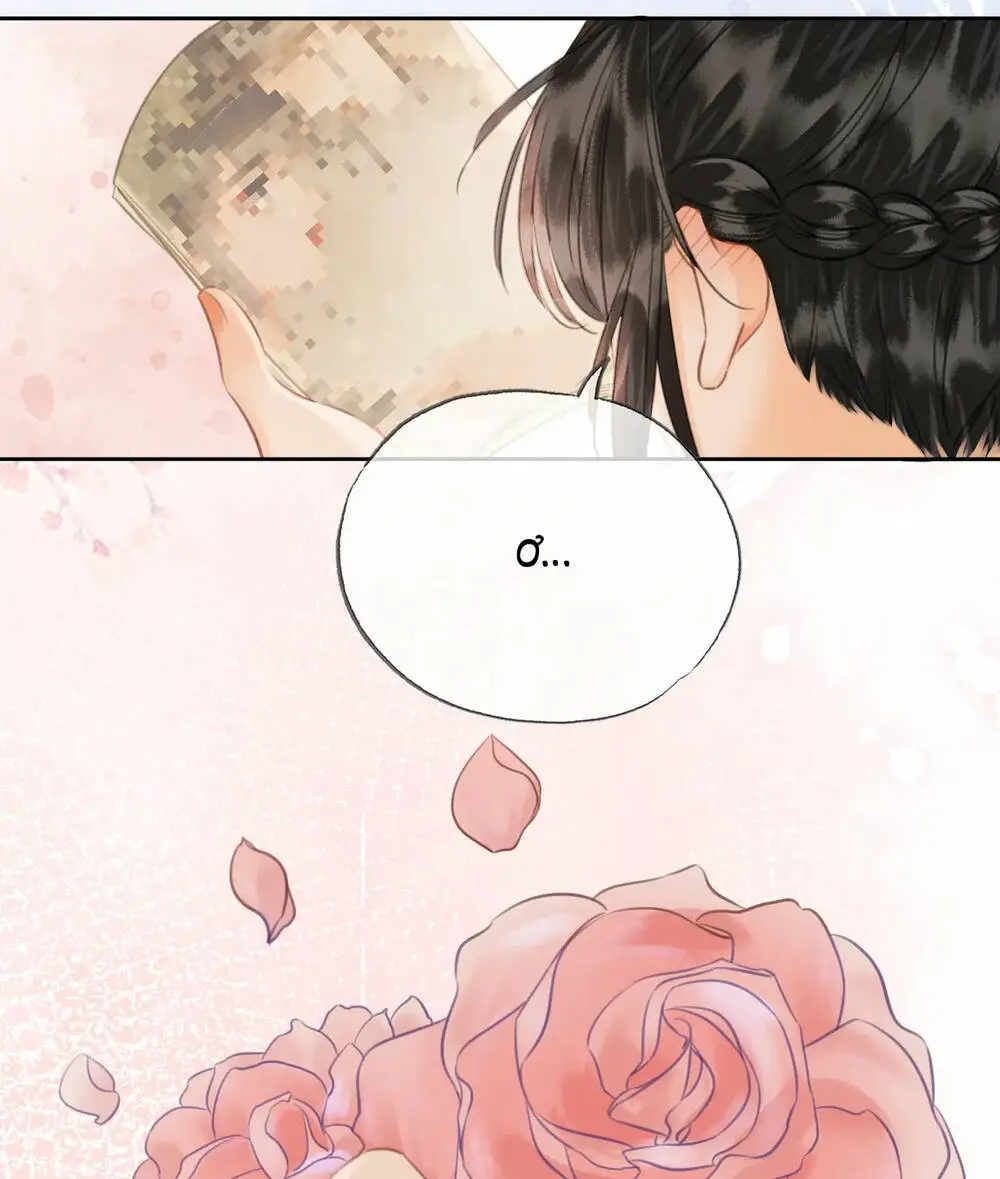 Chapter 25