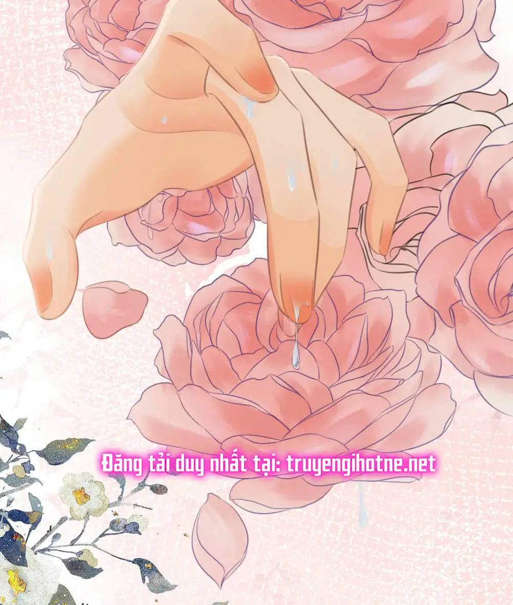 Chapter 25
