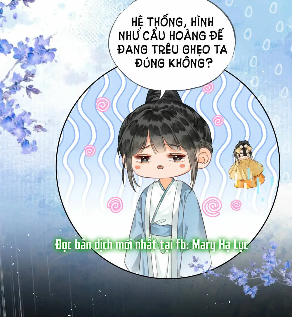 Chapter 24