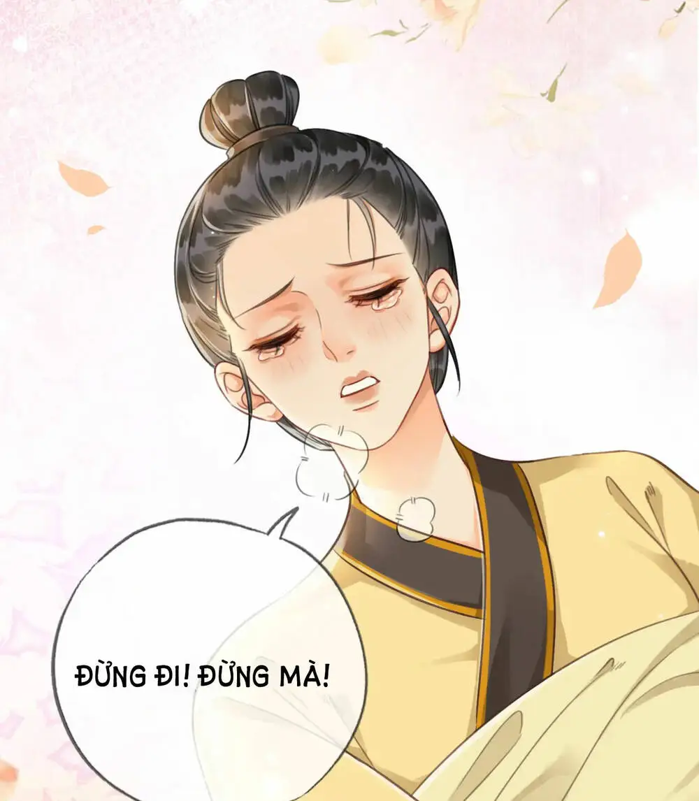 Chapter 24