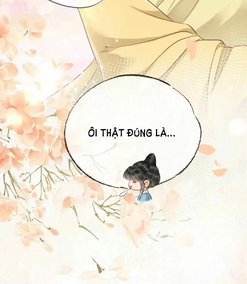 Chapter 24
