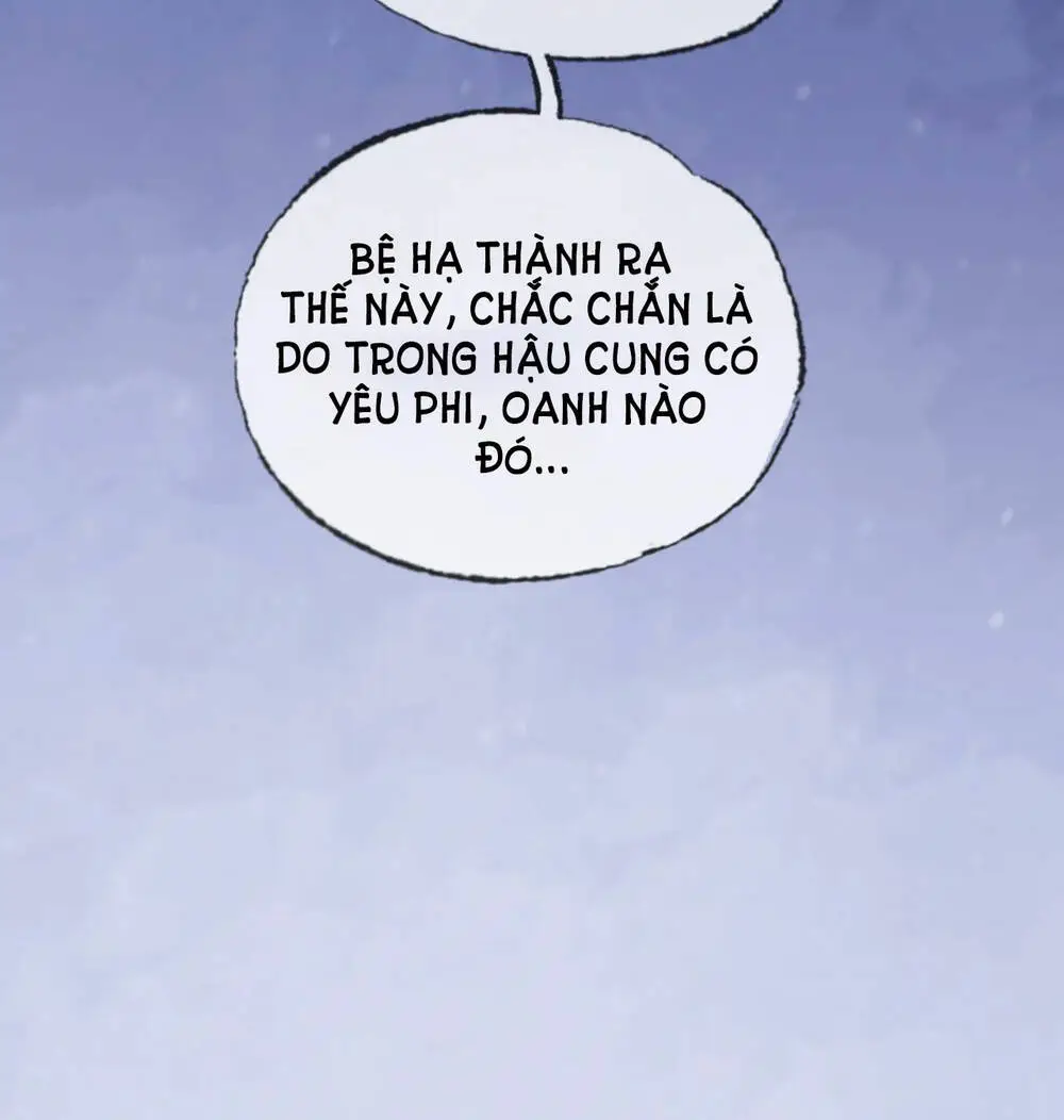 Chapter 23
