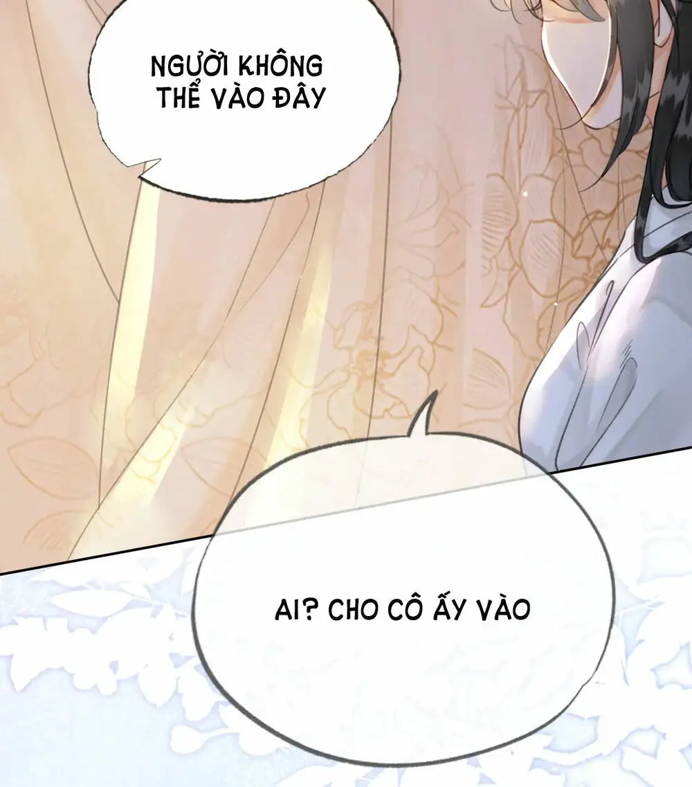 Chapter 22