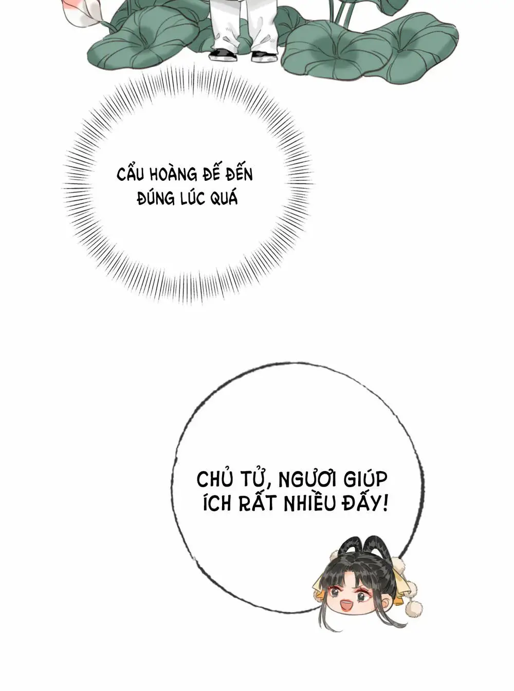 Chapter 22