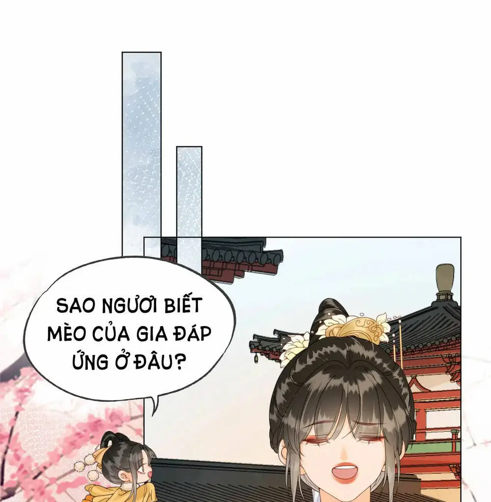 Chapter 21
