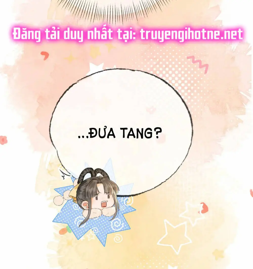 Chapter 20