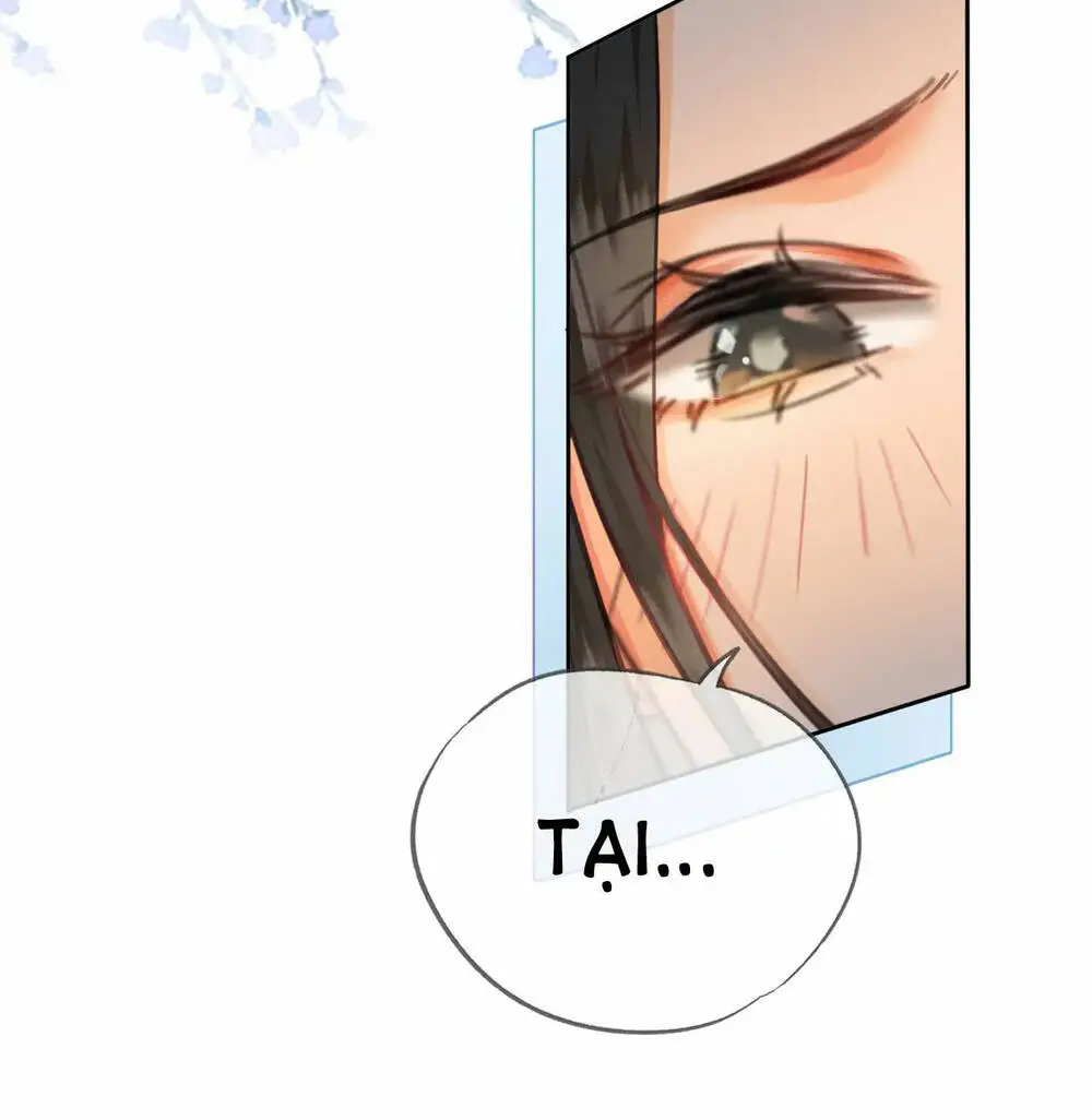 Chapter 20
