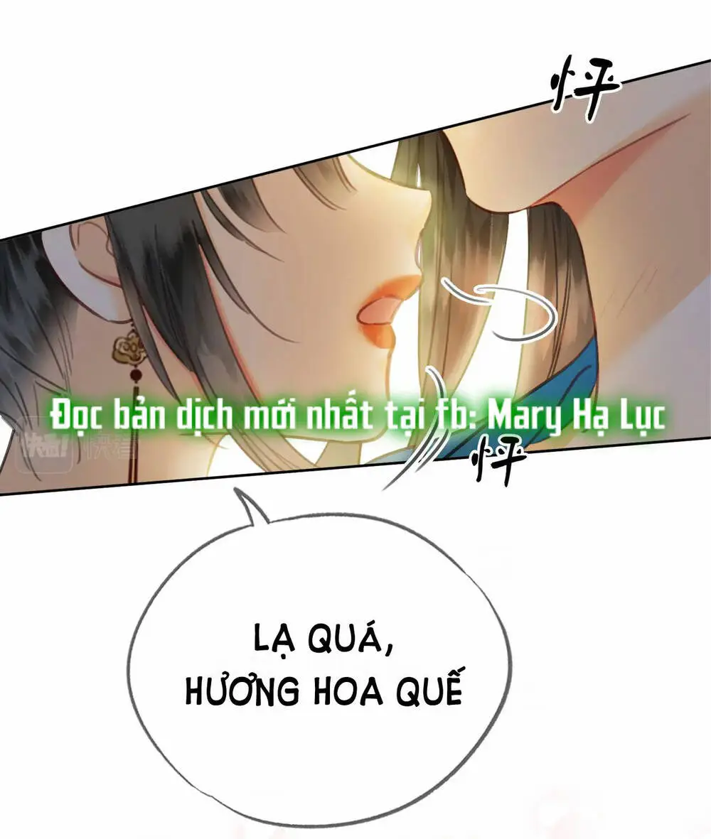 Chapter 20