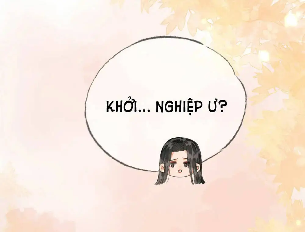 Chapter 20