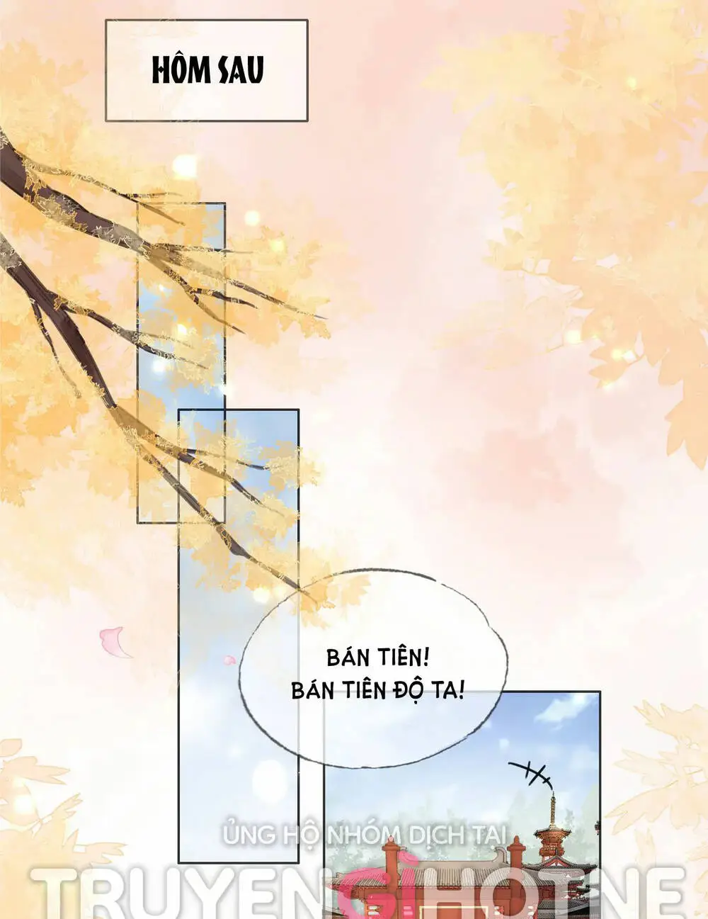 Chapter 20