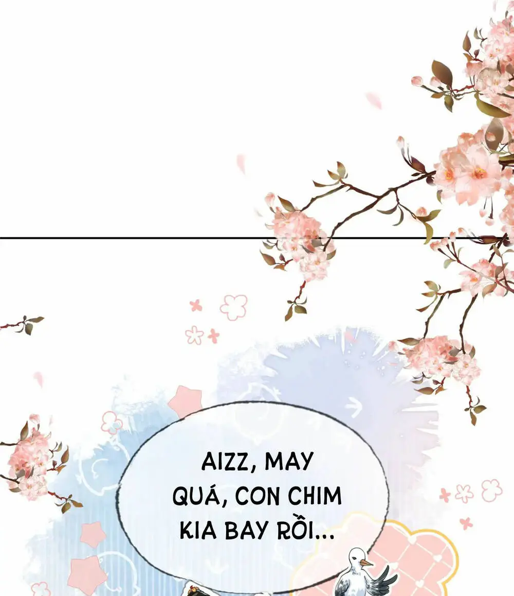 Chapter 18