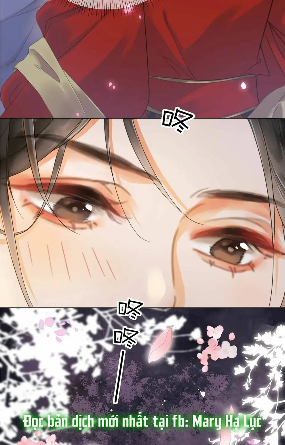 Chapter 16.2