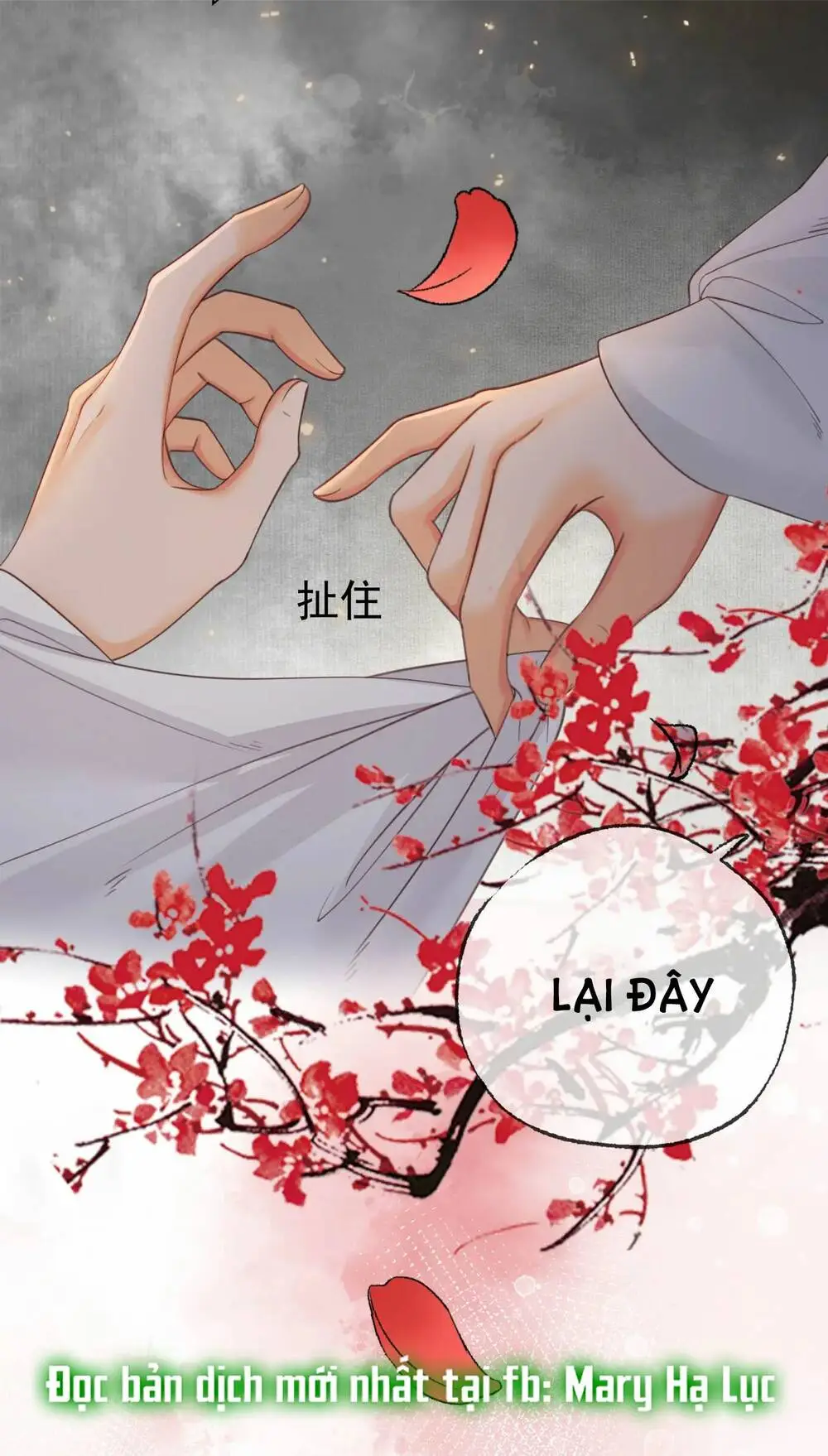 Chapter 14.2