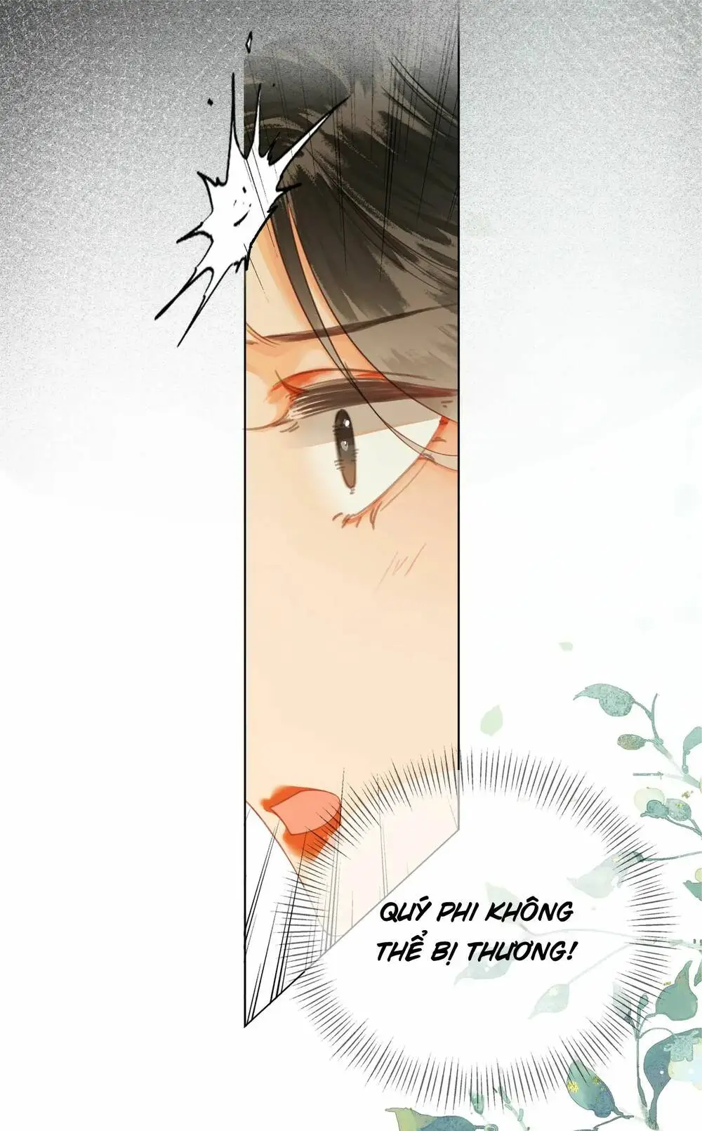 Chapter 14.1