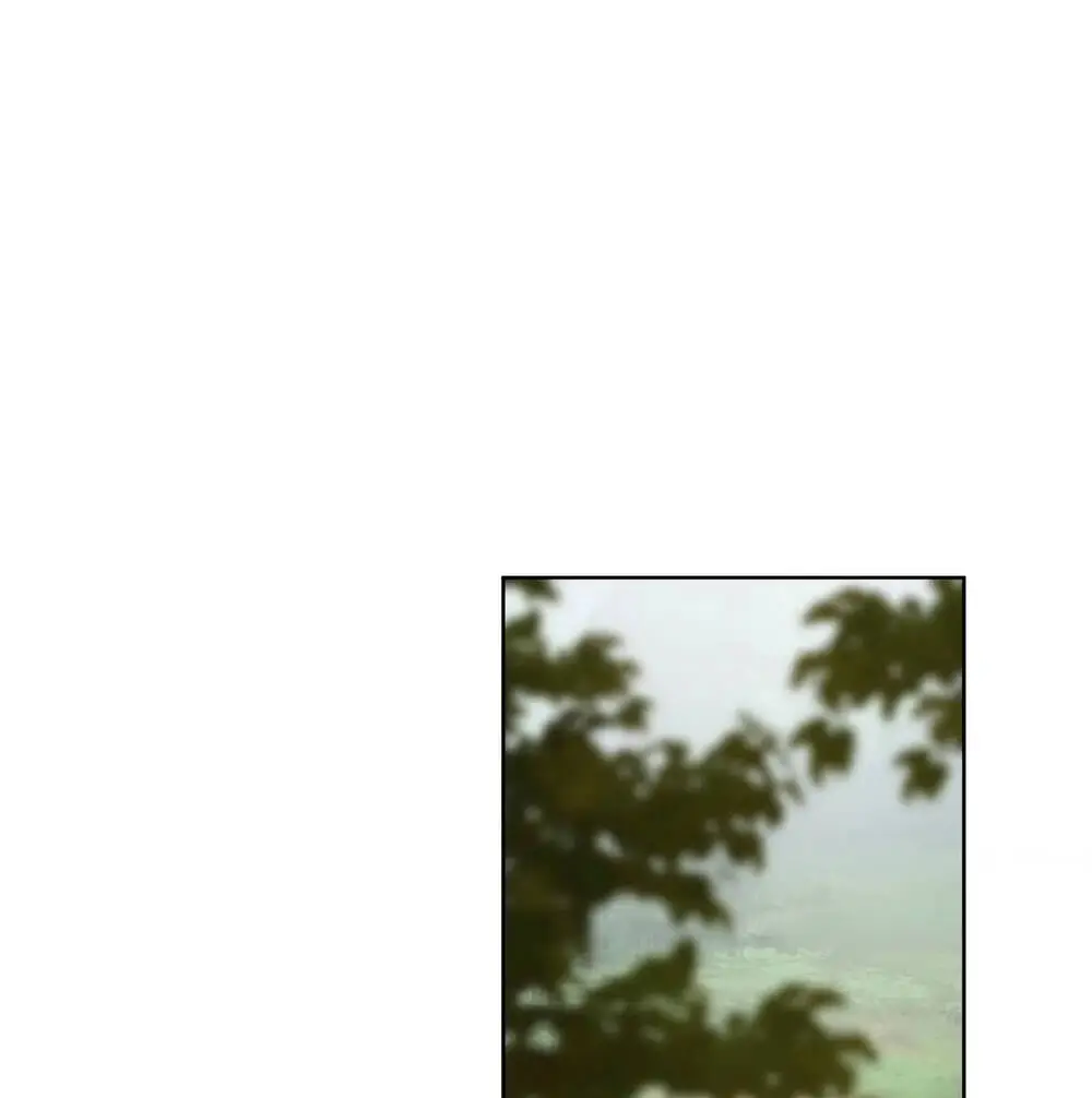 Chapter 14.1