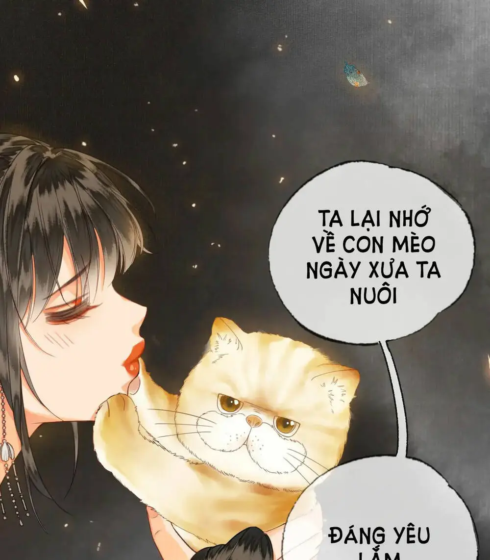 Chapter 13.1