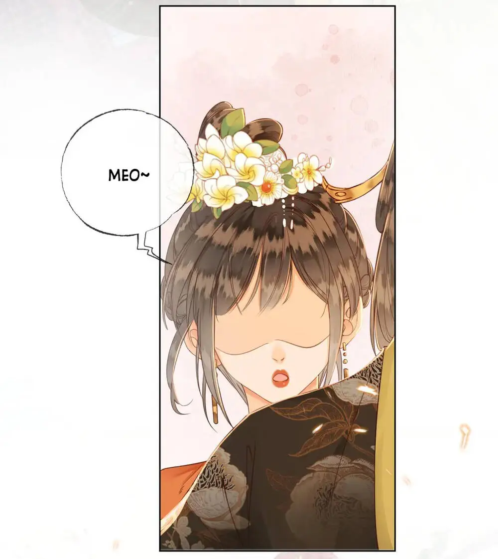 Chapter 11.1