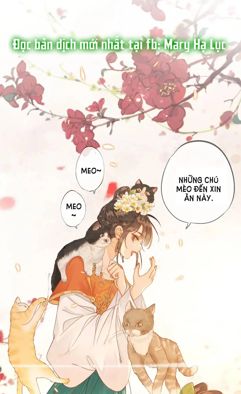 Chapter 11.1
