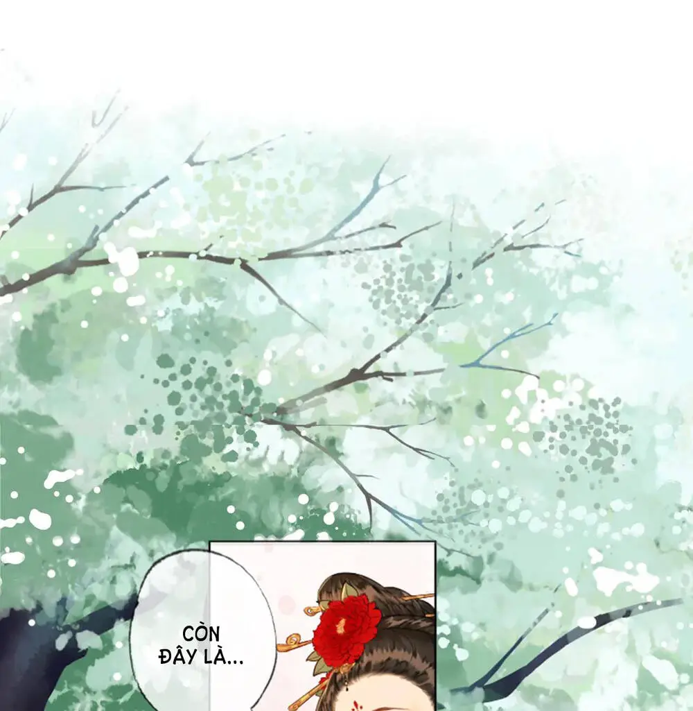 Chapter 11.1