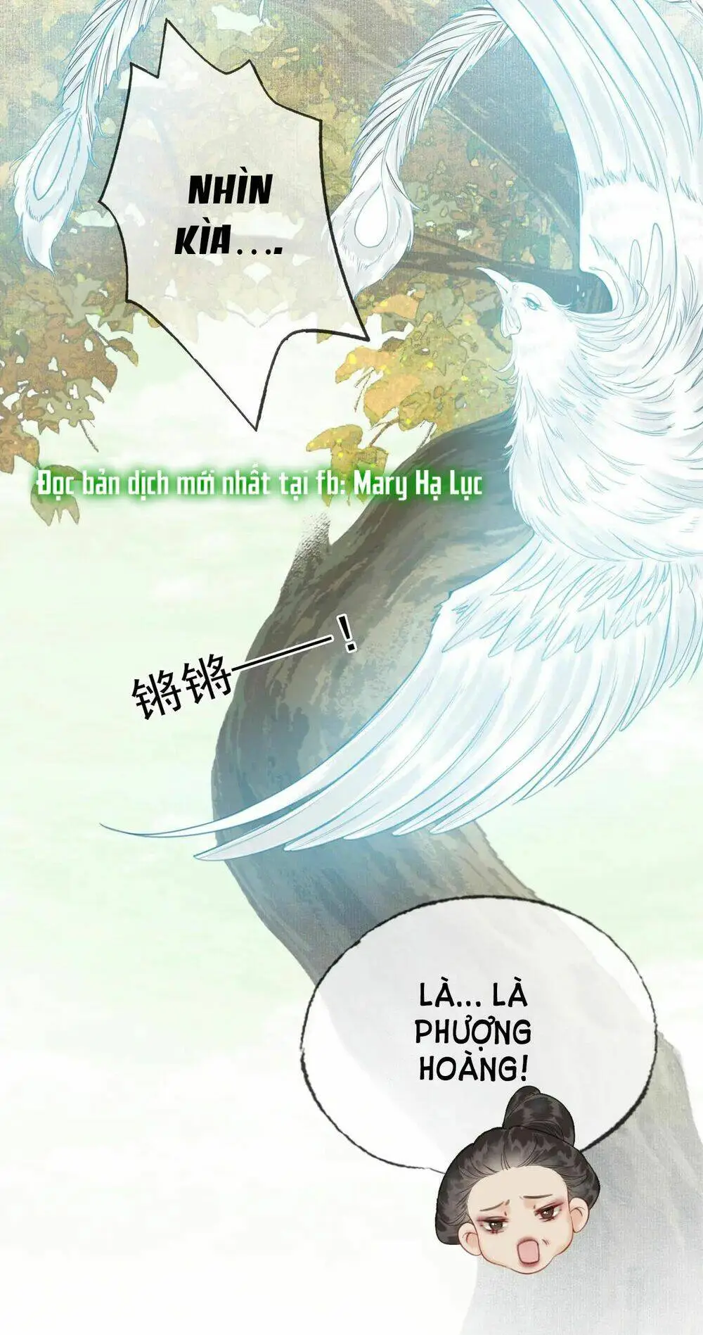 Chapter 8.1