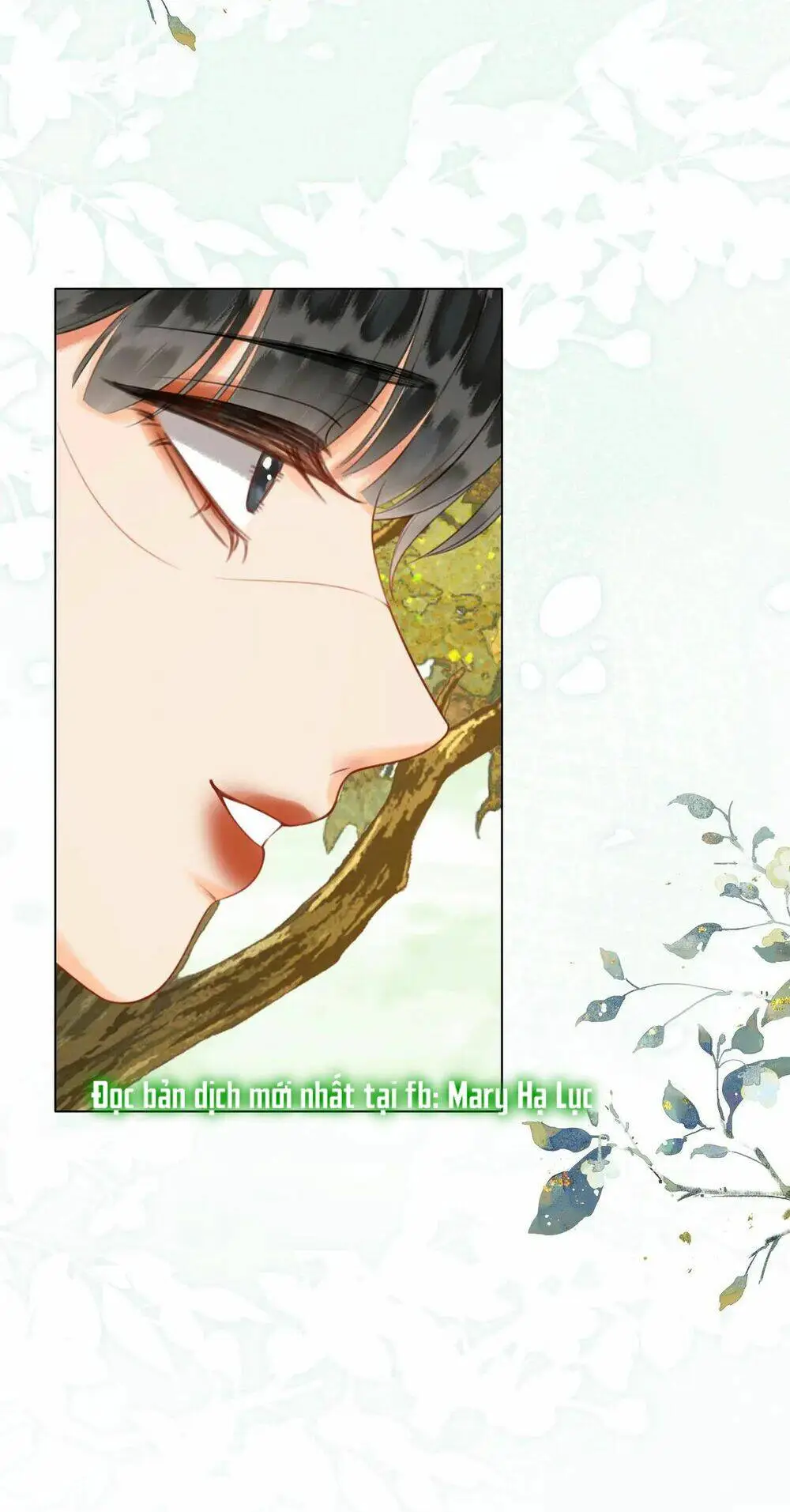 Chapter 8.1