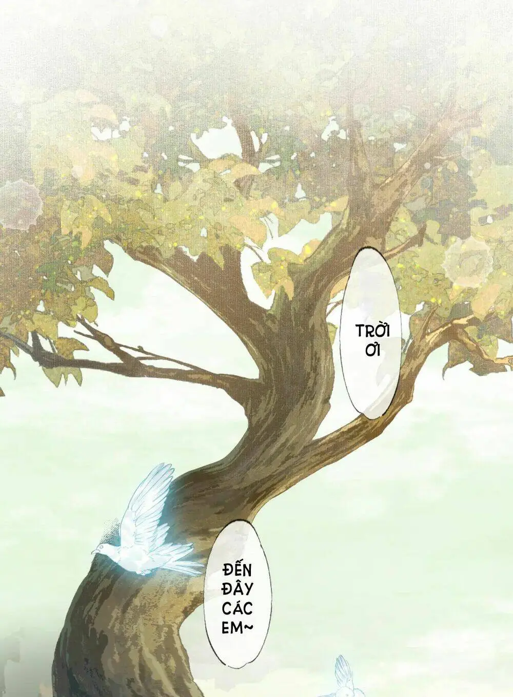 Chapter 8.1