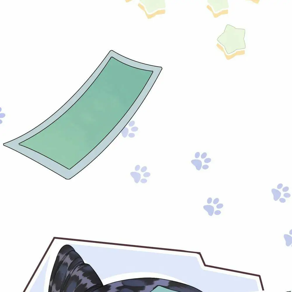 Chapter 6.2