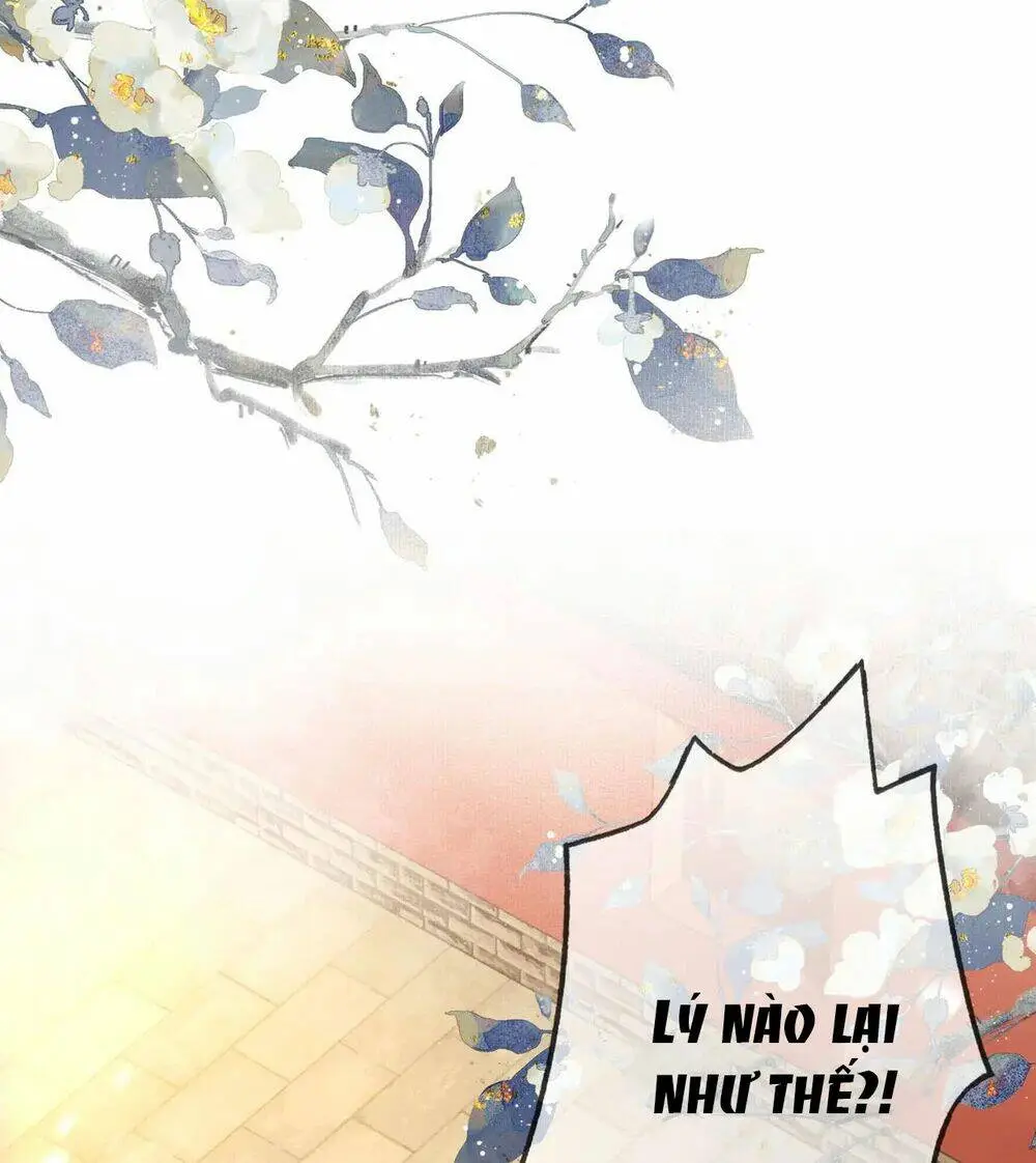 Chapter 6.1
