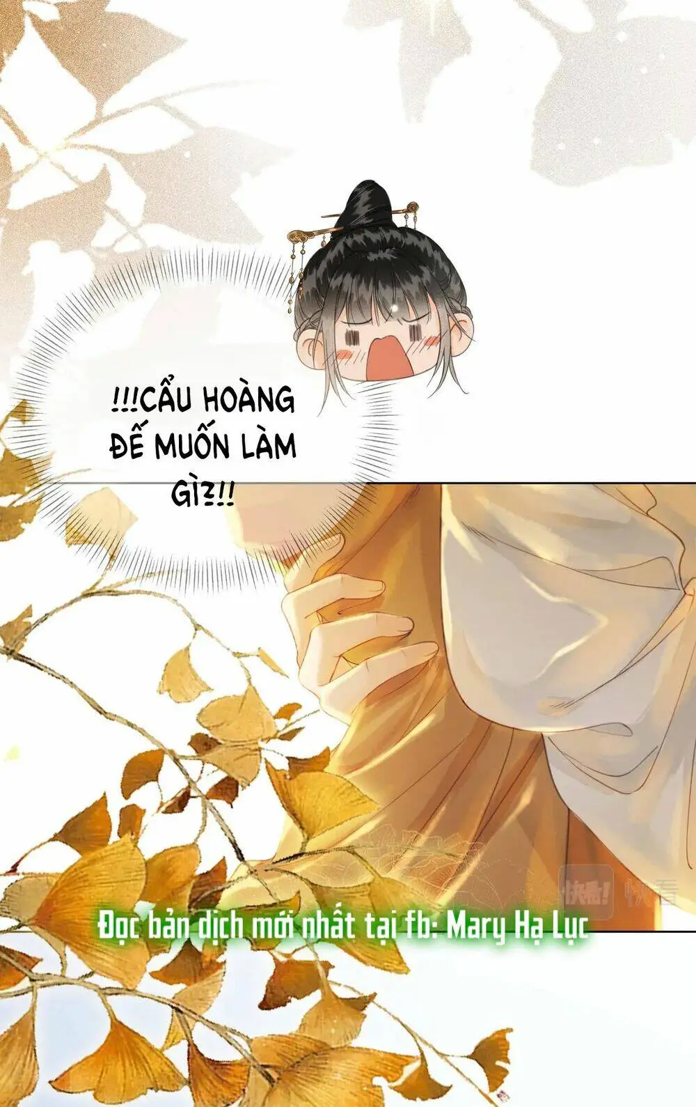 Chapter 6.1