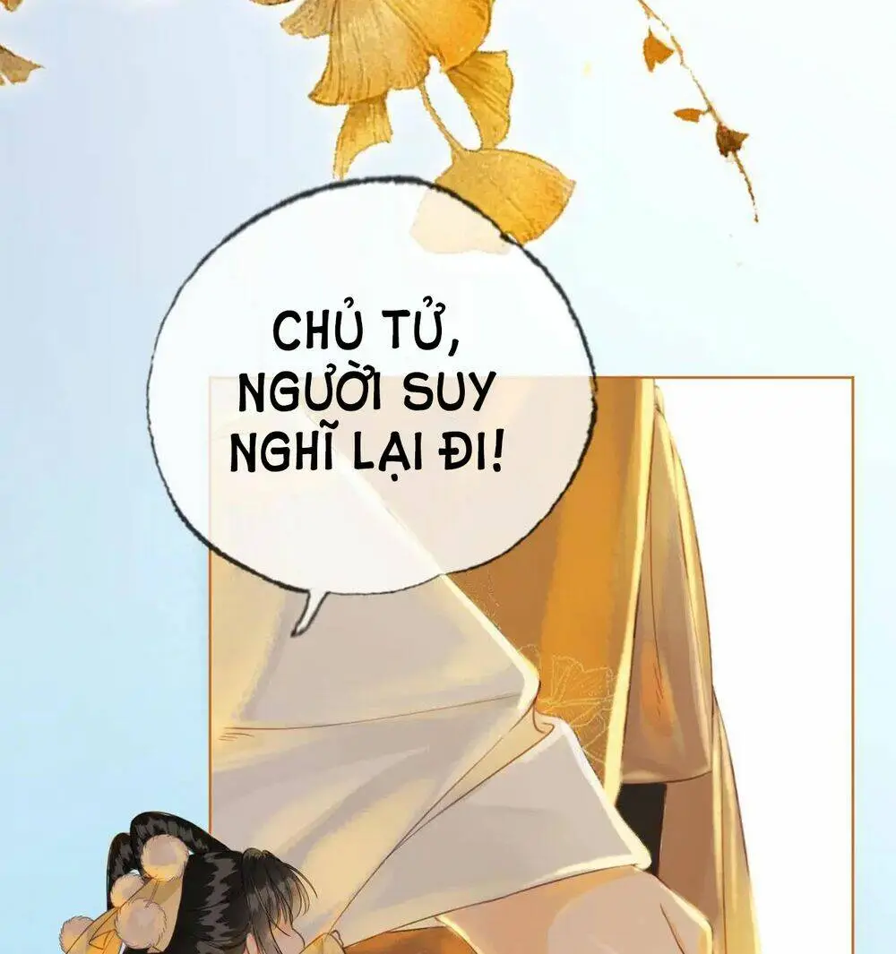 Chapter 6.1