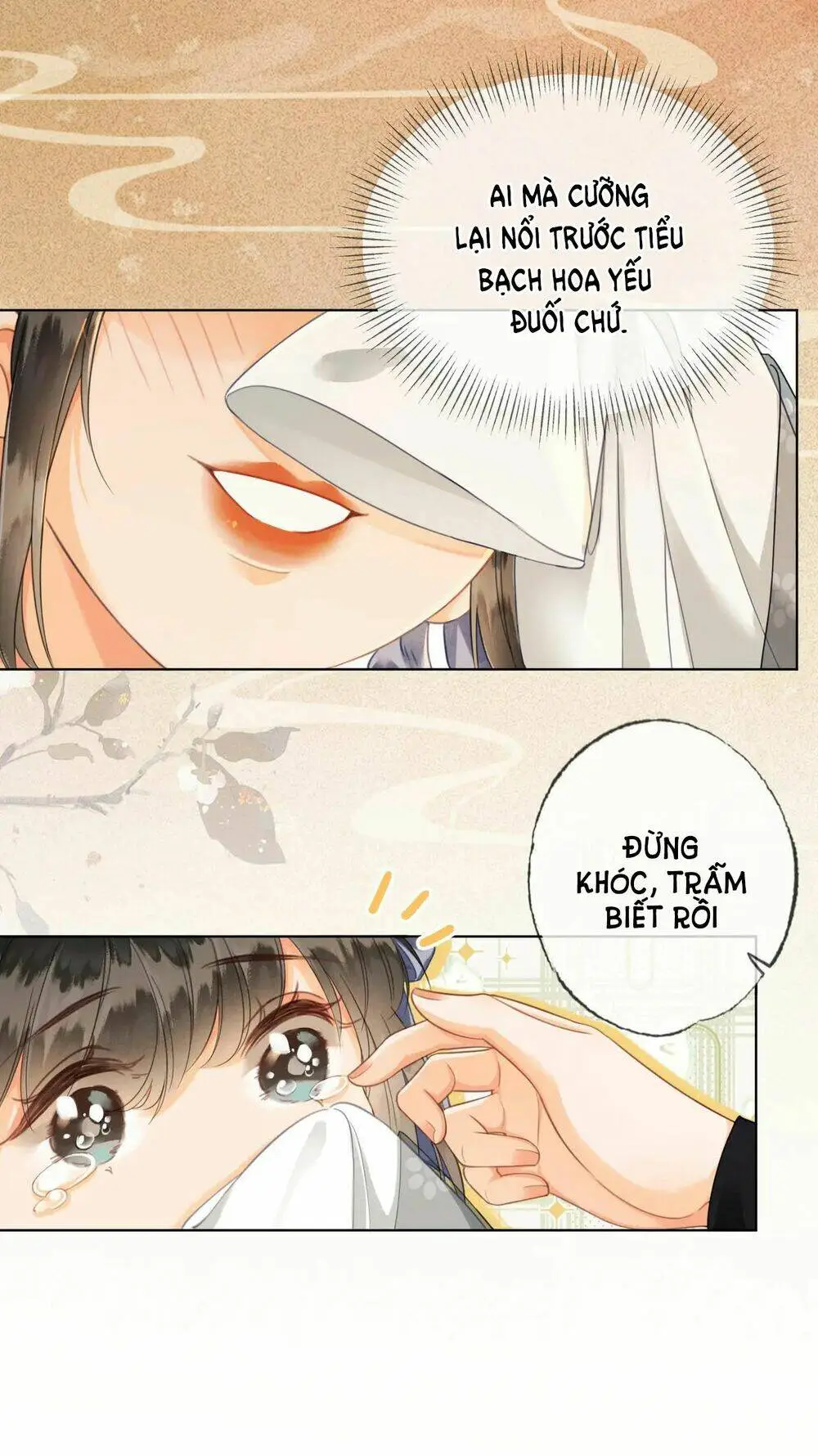 Chapter 4.2