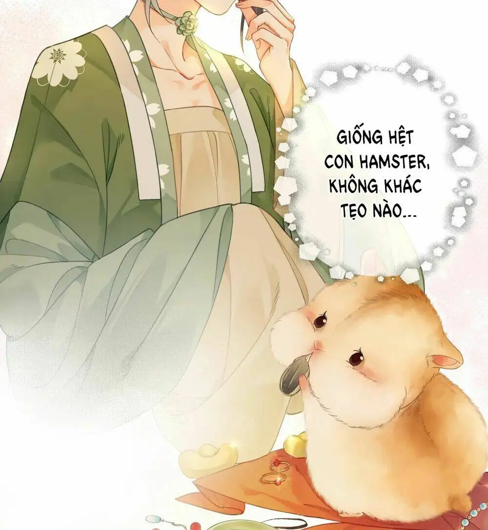 Chapter 1