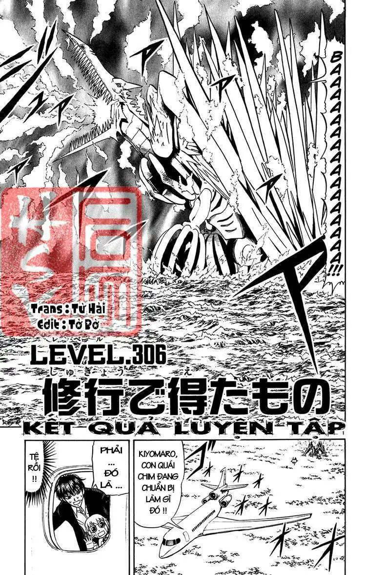 Chapter 306