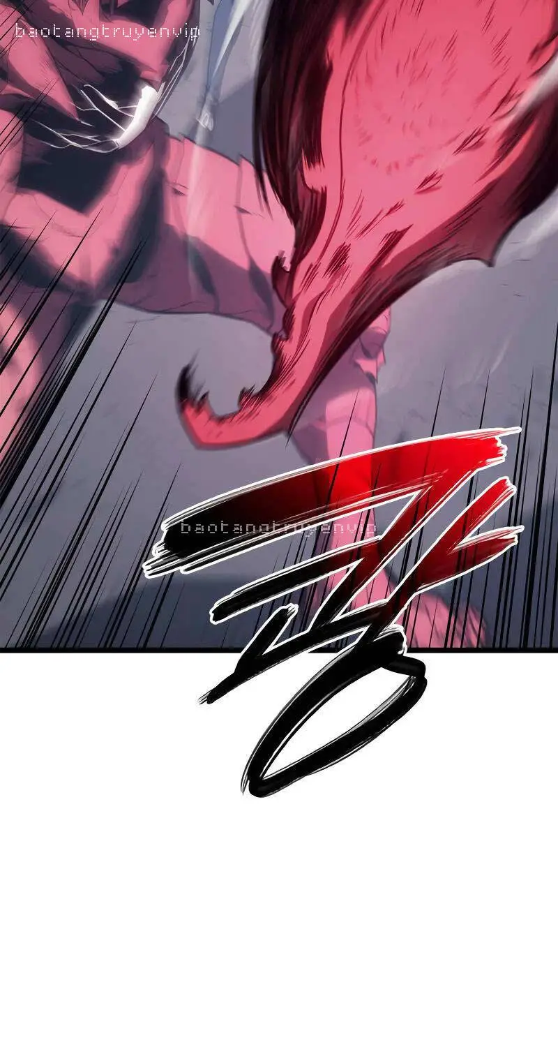 Chapter 81