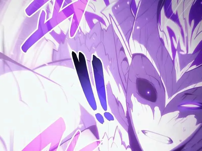 Chapter 26.5