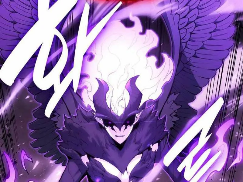 Chapter 26.5