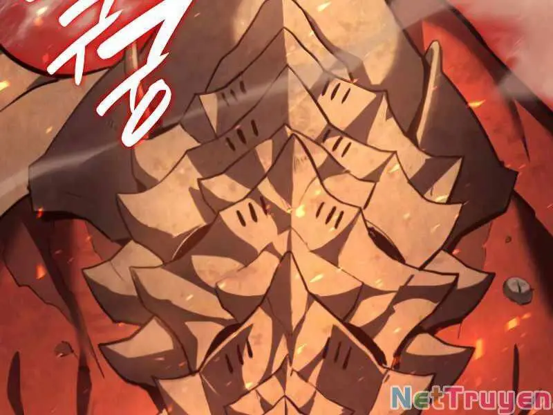 Chapter 25.5