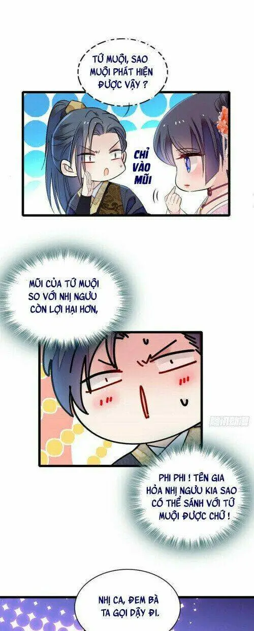 Chapter 161