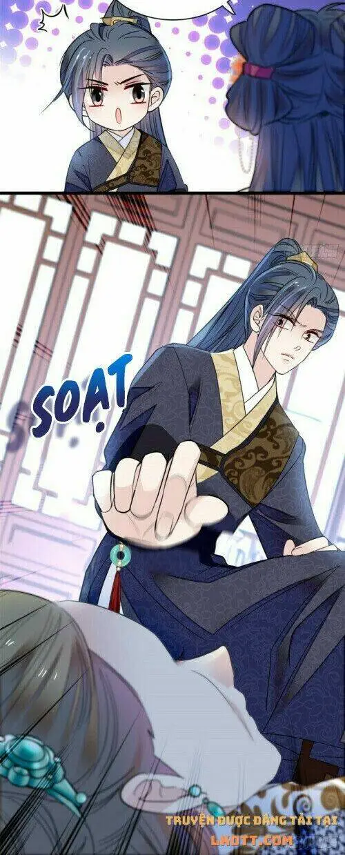 Chapter 161