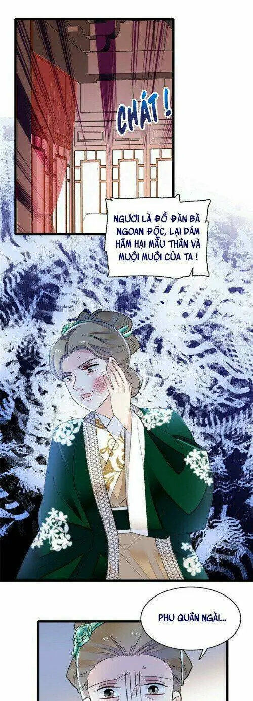 Chapter 161