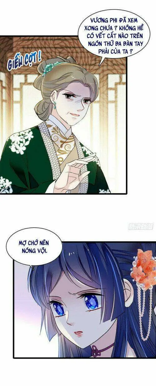 Chapter 161