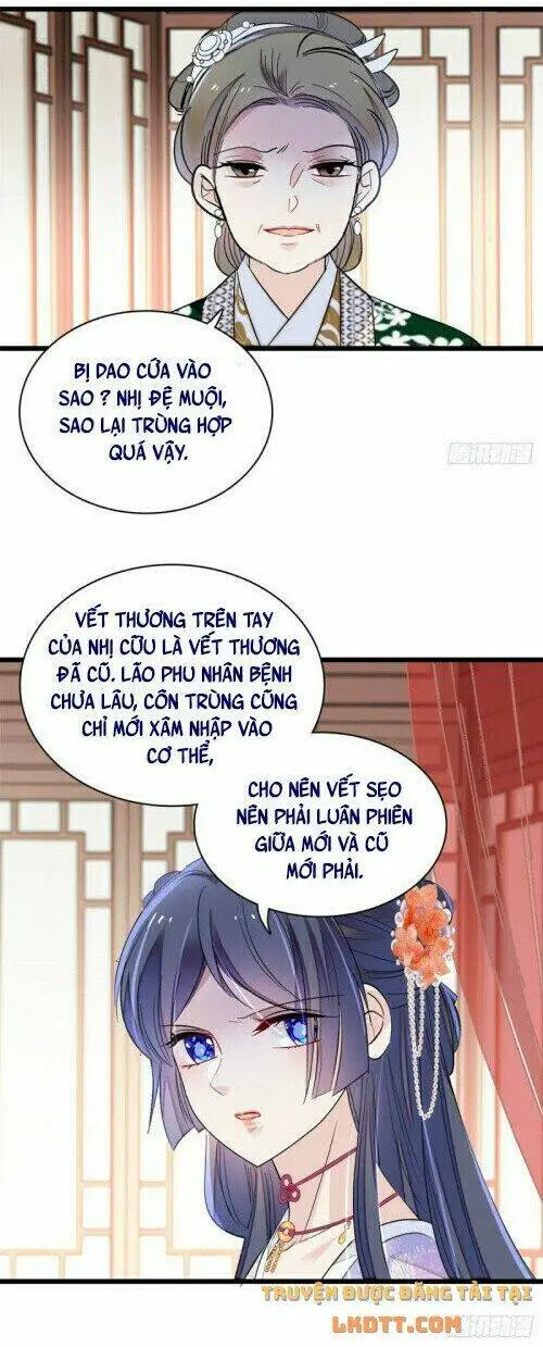 Chapter 161