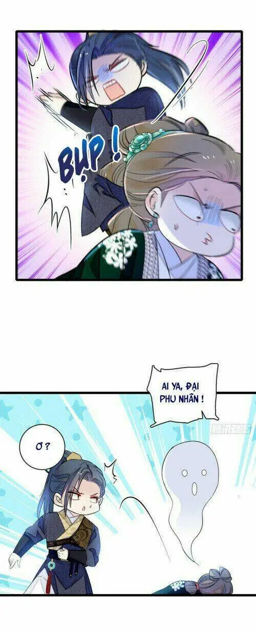 Chapter 161