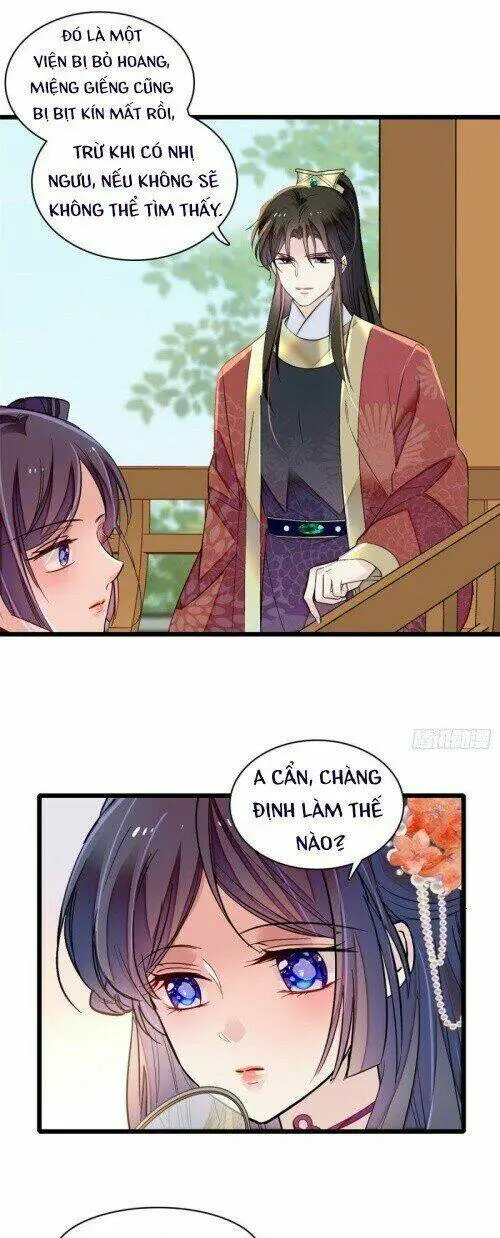 Chapter 158