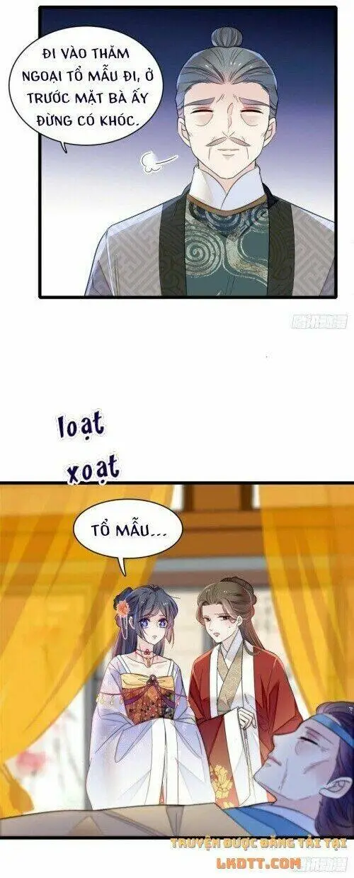 Chapter 158