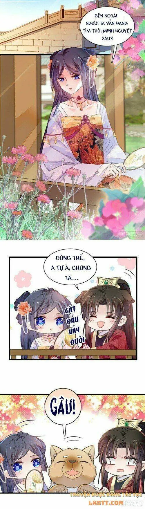 Chapter 158