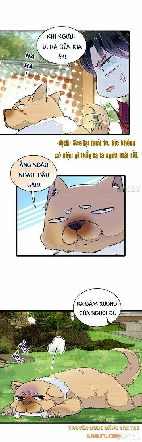 Chapter 158
