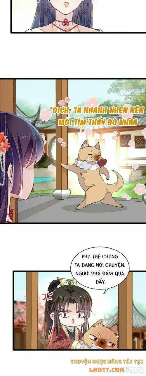 Chapter 158
