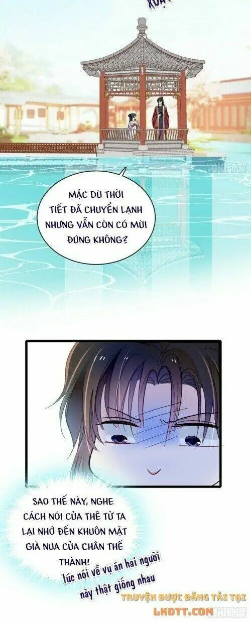 Chapter 158