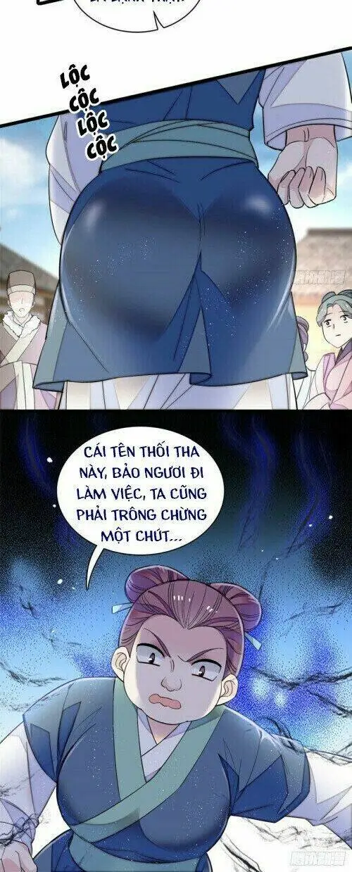 Chapter 117